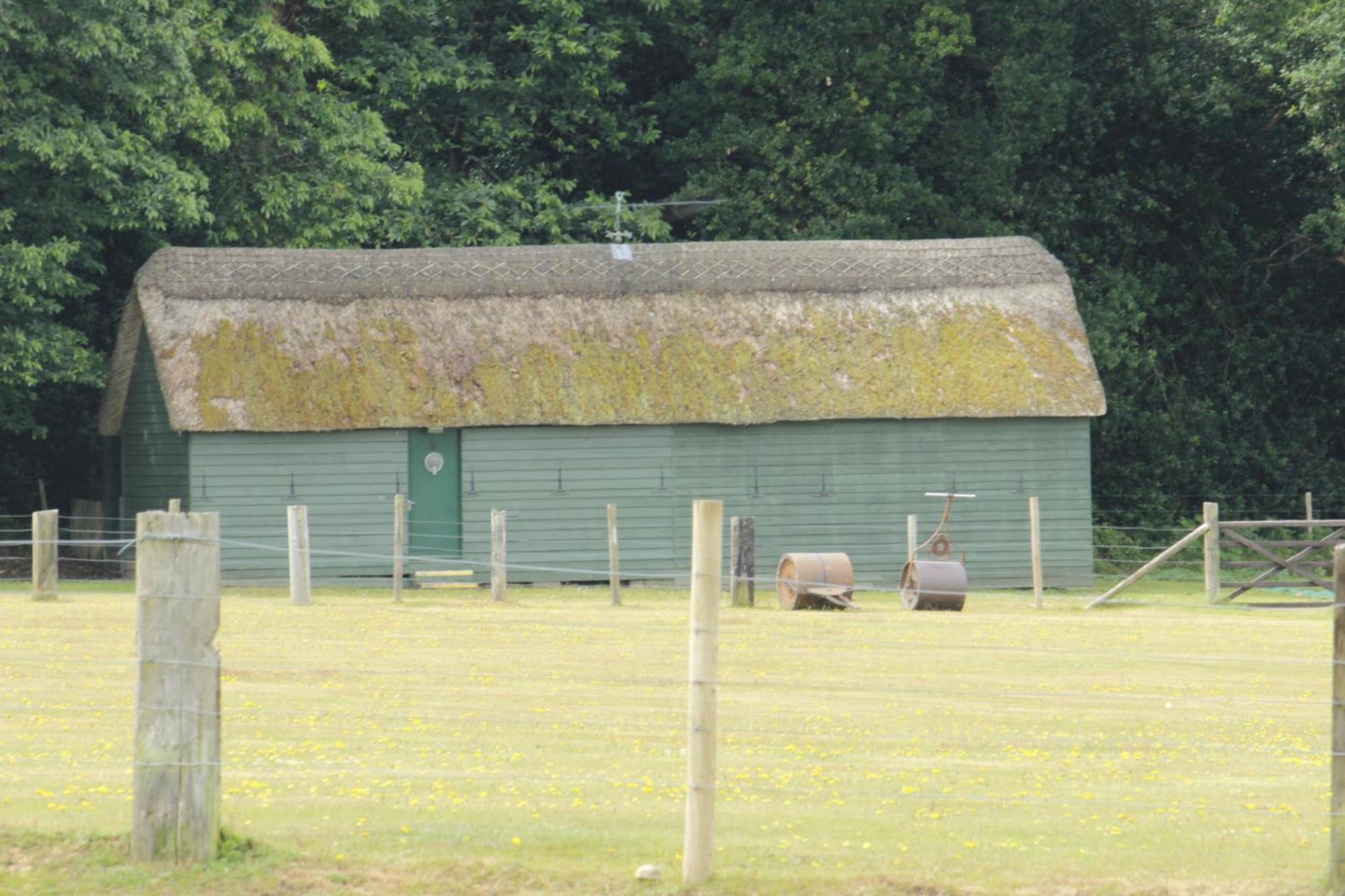 Avondale New Forest Godshill  Esterno foto