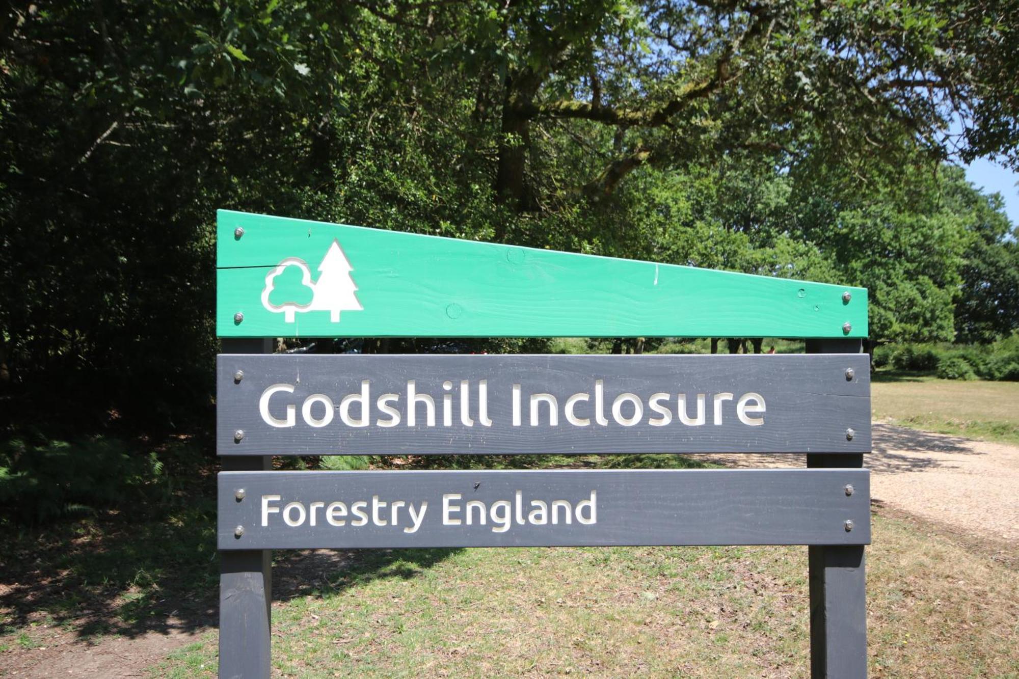 Avondale New Forest Godshill  Esterno foto